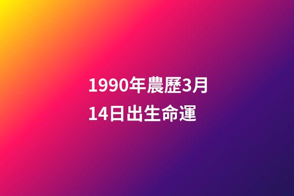 1990年農歷3月14日出生命運 (1990年3月14日陽歷)